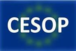 CESOP – Central Electronic System of Payment information